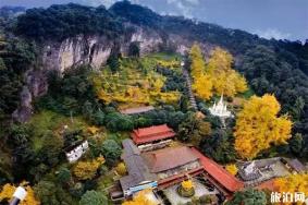 安溪白岩景区银杏节11月1日开启 附活动内容