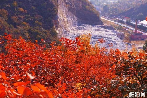 北京坡峰岭红叶什么时候红 北京坡峰岭看红叶自驾游攻略