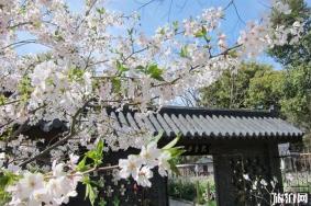 浦东惠南镇桃花村开放时间 收门票吗