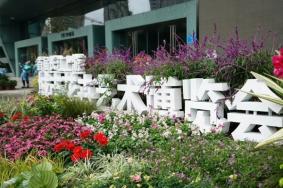 2019重庆花博会预约时间+景点介绍