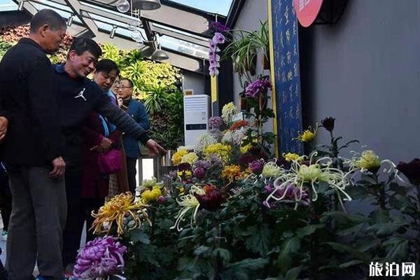 2019东四胡同菊花节时间+地点+介绍