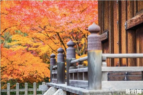 日本京都岚山寺庙推荐