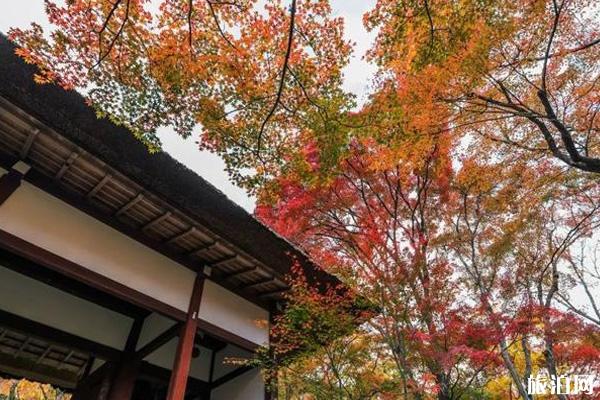 日本京都岚山寺庙推荐