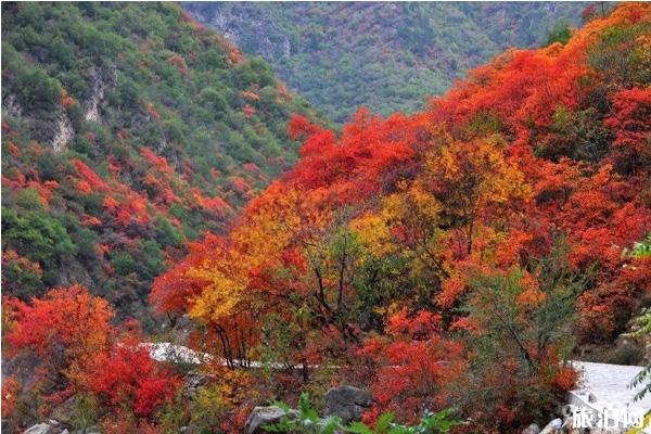 2019郑国渠白叶节支门票吗 2019郑国渠白叶节时候+天面+交通