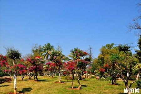 西双版纳东线植物园有着怎样的景点旅游地