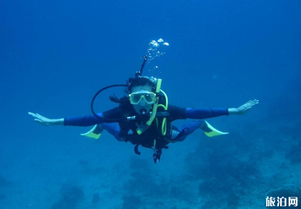 诗巴丹潜水最佳时间 诗巴丹潜水没有潜水证能跟教练潜水吗