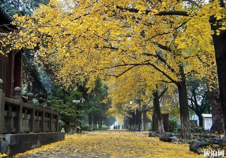 南京适合秋天去的景点 南京适合赏秋的地方有哪些