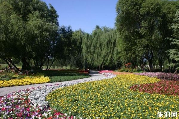 北京海淀公园门票多少钱+开放时间 海淀区银杏叶去哪里看