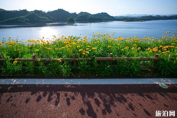 淳安千岛湖绿道骑行路线推荐+线路特色