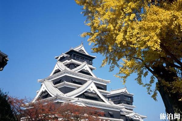 十一月去日本冷不冷 十一月去日本旅游好吗