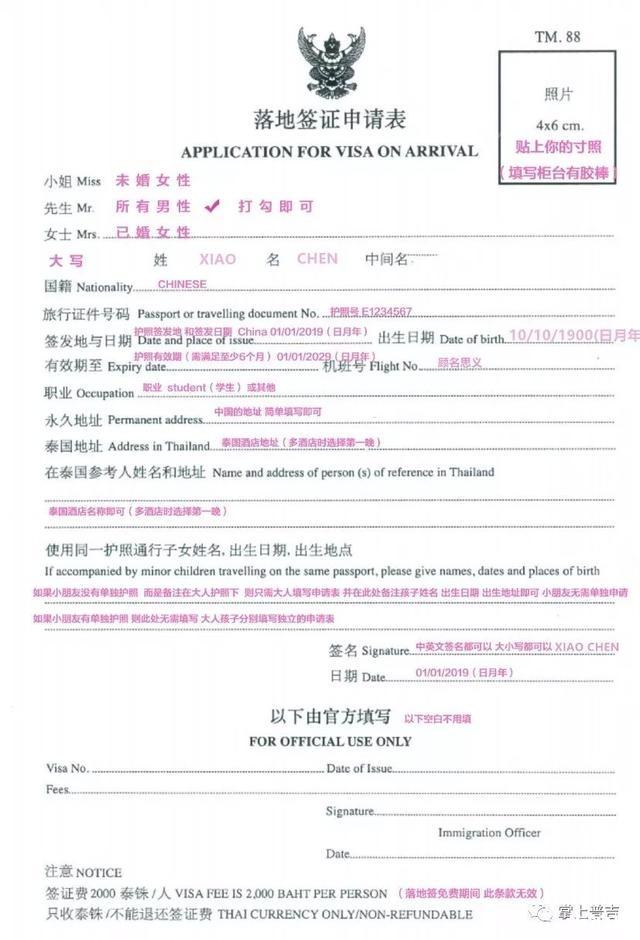 泰国落地签照片尺寸要求 附入境申请表中文对照表