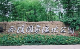 西溪湿地公园开放时间+门票价格+优惠政策
