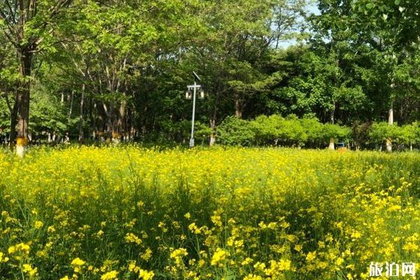 东坝郊野公园游玩攻略 东坝郊野公园好玩吗