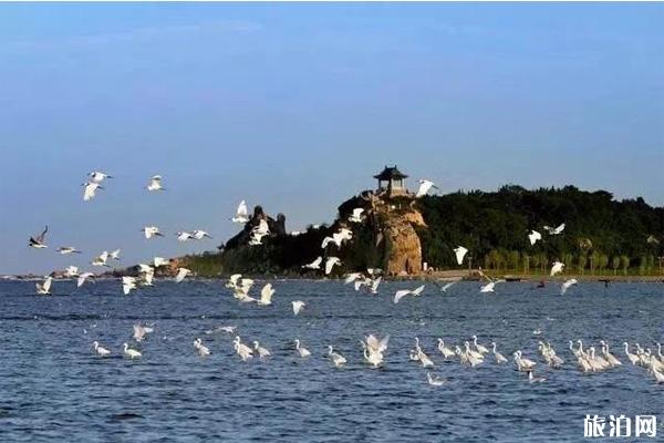 2019年11月1日至2020年3月31日河北旅游景点免费开放的有哪些