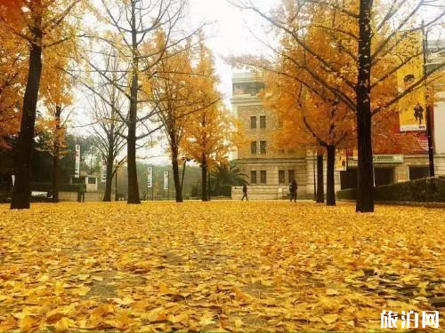 上海哪些地方能感受到秋天留下的痕迹