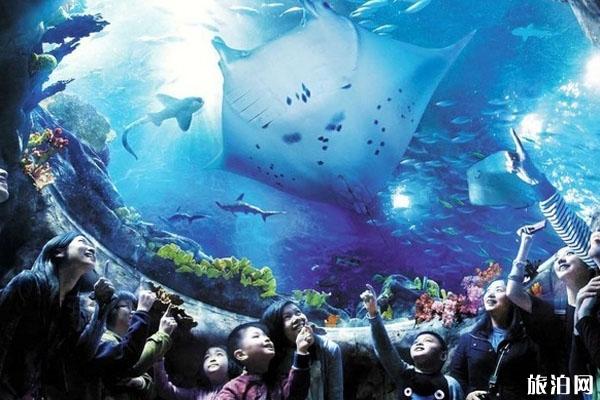 香港海洋公园门票多少钱 海洋公园怎么去 有什么娱乐项目