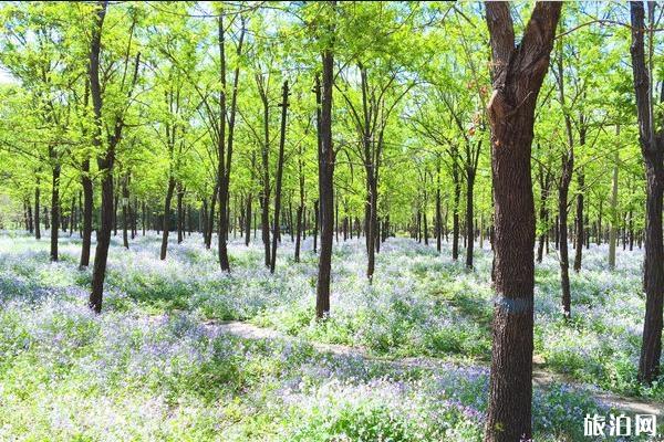 東壩郊野公園游玩攻略 東壩郊野公園好玩嗎