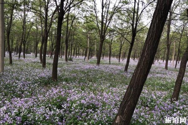 東壩郊野公園游玩攻略 東壩郊野公園好玩嗎