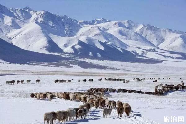 新疆有多大 多久才能走遍新疆
