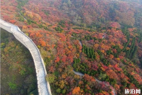 北京紅葉最佳觀賞地方 北京紅葉什么時(shí)候看最合適