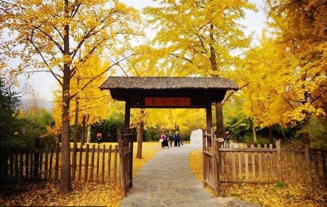 北京植物园秋天好看吗 北京植物园秋季有啥花