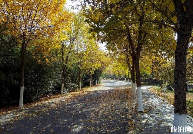 北京園博園秋季好玩嗎 北京園博園秋季可以看紅葉嗎