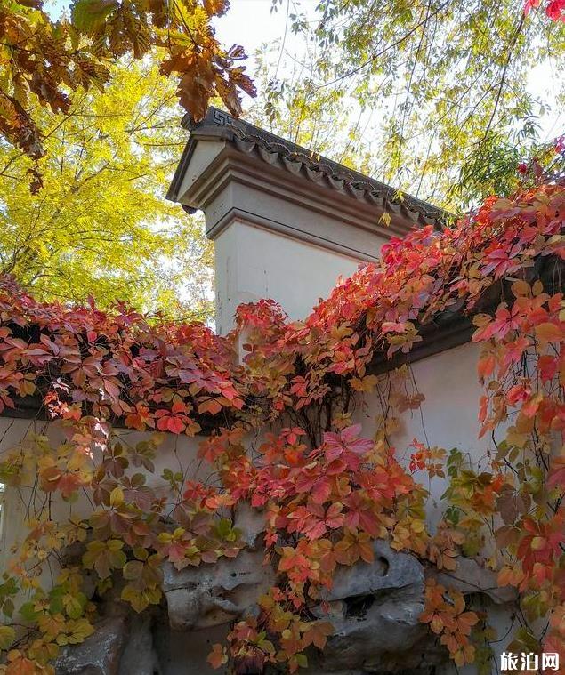 北京園博園秋季好玩嗎 北京園博園秋季可以看紅葉嗎