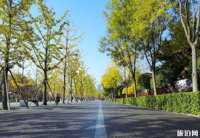 北京園博園秋季好玩嗎 北京園博園秋季可以看紅葉嗎