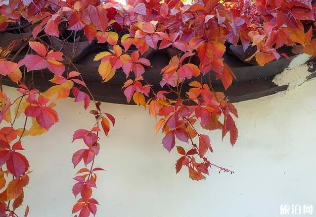 北京園博園秋季好玩嗎 北京園博園秋季可以看紅葉嗎