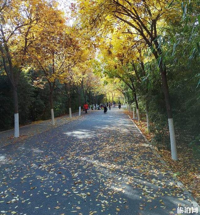 北京園博園秋季好玩嗎 北京園博園秋季可以看紅葉嗎