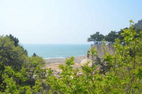 崂山中线+南线旅游路线 崂山巨峰游览区和太清游览区游玩攻略