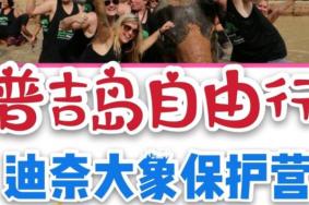 普吉岛迪奈大象保护营游玩攻略