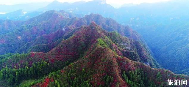 重庆酉阳板溪红叶最佳时间