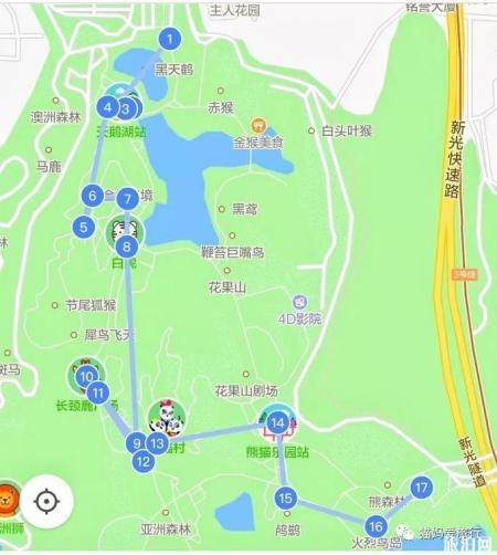 2019广州长隆野生动物表演时间表+游玩路线推荐
