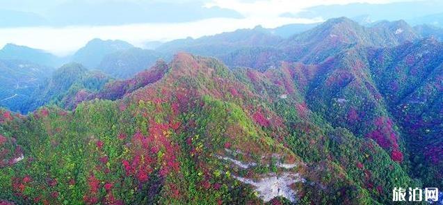 重庆酉阳板溪红叶最佳时间