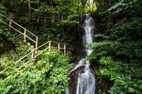 杭州九溪烟树景点介绍