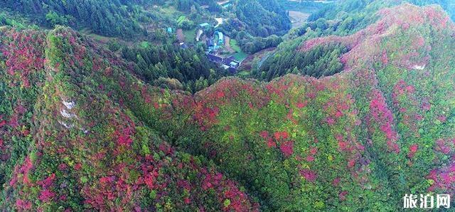 重慶酉陽(yáng)板溪紅葉最佳時(shí)間