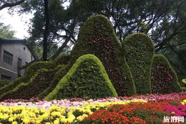 重慶秋天適合去哪里旅游 重慶秋天賞花好去處