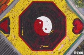 这个周末西安有哪些限时活动