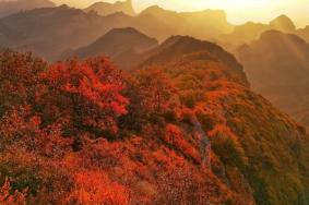 河北哪里红叶最漂亮