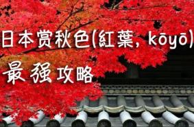 2019日本红叶预测情报 2019日本赏枫叶红叶最佳攻略