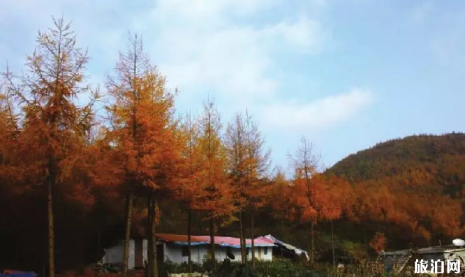 这个秋天重庆周边有着怎样的景色