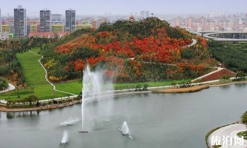 天津哪些地方可以看到红叶