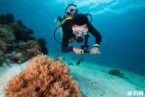 菲律宾巴利卡萨岛潜水度假村游玩多少钱+酒店怎样预定