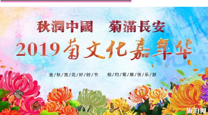 兴庆宫公园菊花展时间地点 2019年西安菊花展汇总（时间+地点+门票）