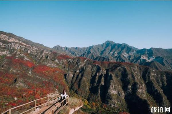 北京坡峰嶺紅葉好看嗎 北京坡峰嶺紅葉觀賞地點推薦