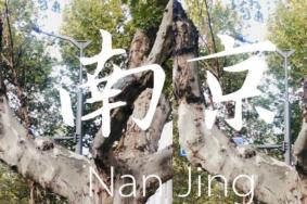 南京四日游详细攻略 南京四日游旅游攻略2020