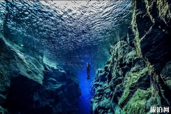 冰岛潜点推荐 冰岛潜水常见问题