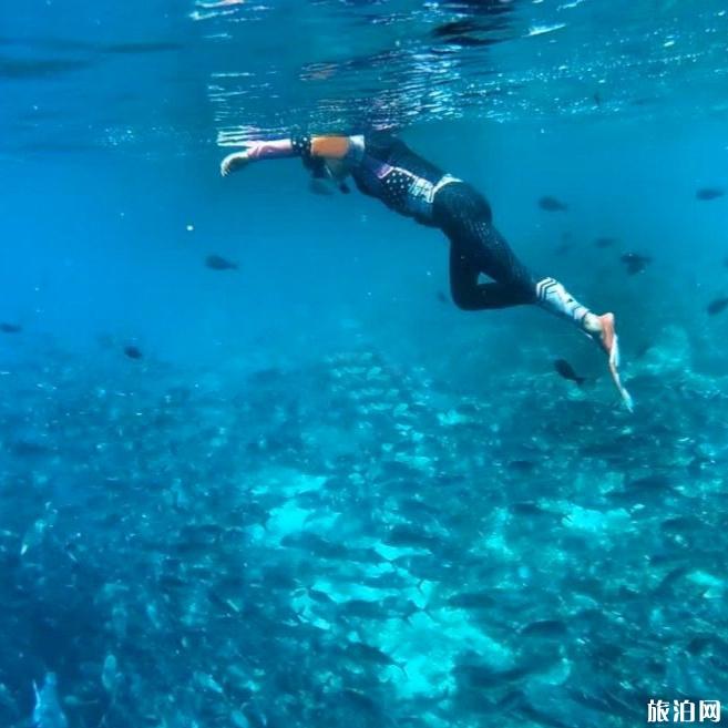 马布岛婆罗洲度假村潜水如何 马布岛婆罗洲潜水度假村攻略