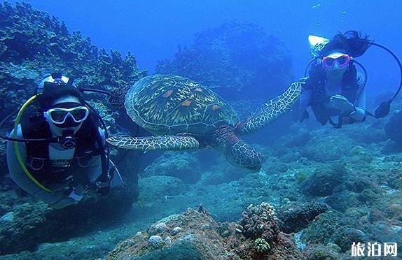 普吉島斯米蘭島潛水攻略